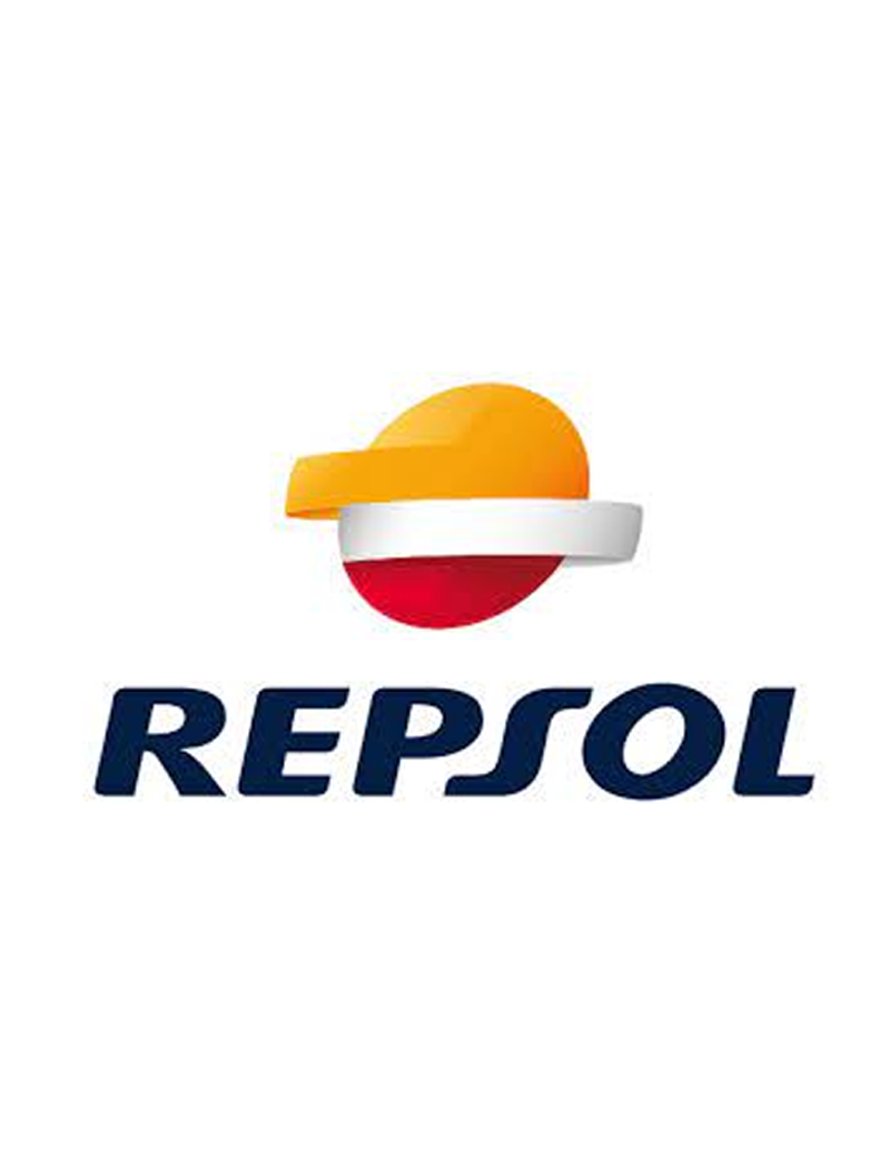 Repsol RP081L51 Premium Tech 5W-30 Aceite de Motor para Coche, 1 L :  : Coche y moto