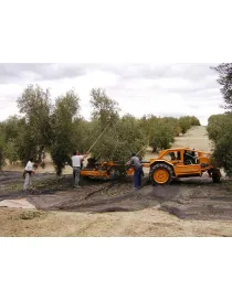 MANTO PARA ACEITUNA COTEXA m2