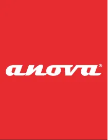 COMPRESOR AIRE ANOVA (2HP, 8BAR, 50 LTRS) - I.V.A. INCLUIDO