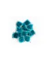 RATICIDA PASTA FRESCA BRODIFACOUN 150G
