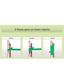 BANDA DE INJERTAR FLEXIBAND 240x6 MM (CAJA DE 5KG)