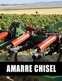 AMARRES CHISEL