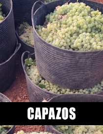 CAPAZOS