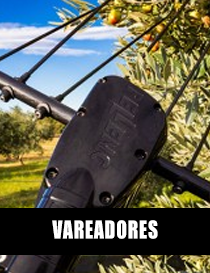 VAREADORES