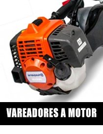 VAREADOR CON MOTOR