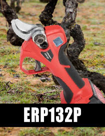 ERP132P