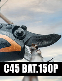 C45-150P