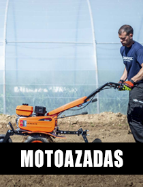 MOTOAZADAS